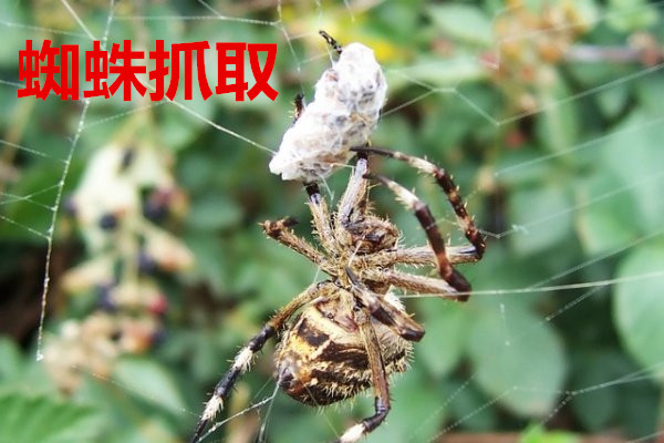 益达娱乐浅谈企业对于营销型网站建设存在的四个误解